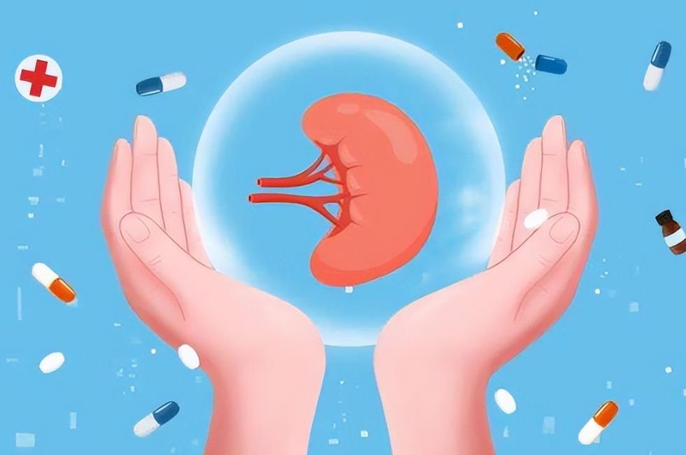 滋陰補腎 滋陰補腎