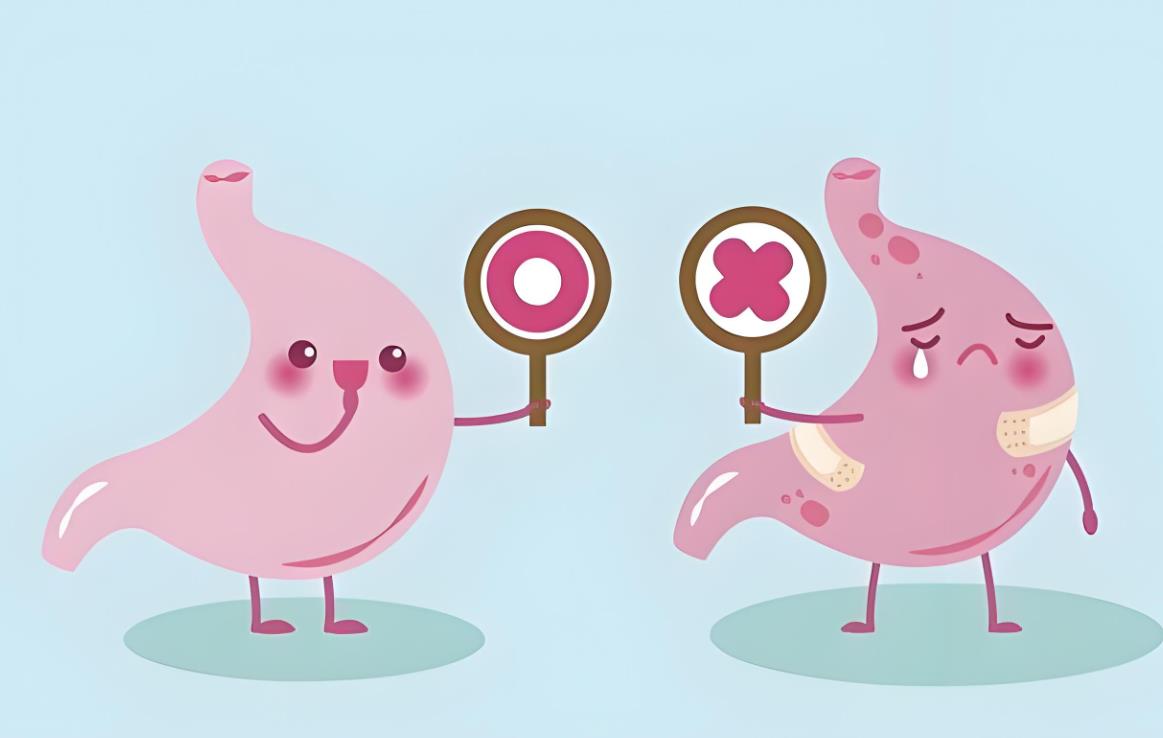 促進消化 促進消化