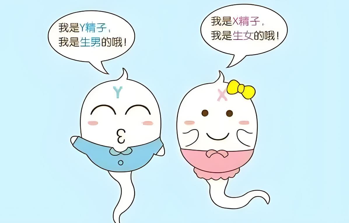 懷男懷女 懷男懷女