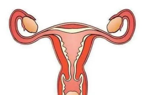 子宮內膜異位癥對試管移植有影響嗎？