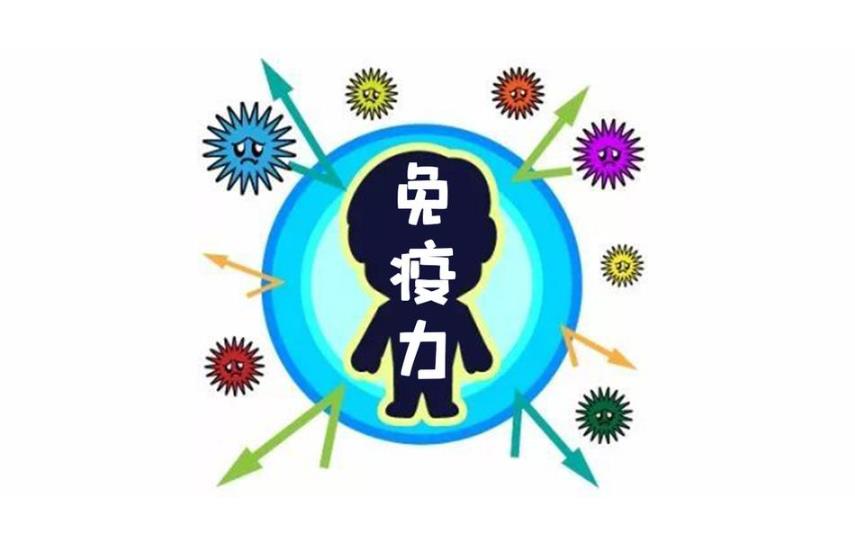 增強免疫力 增強免疫力