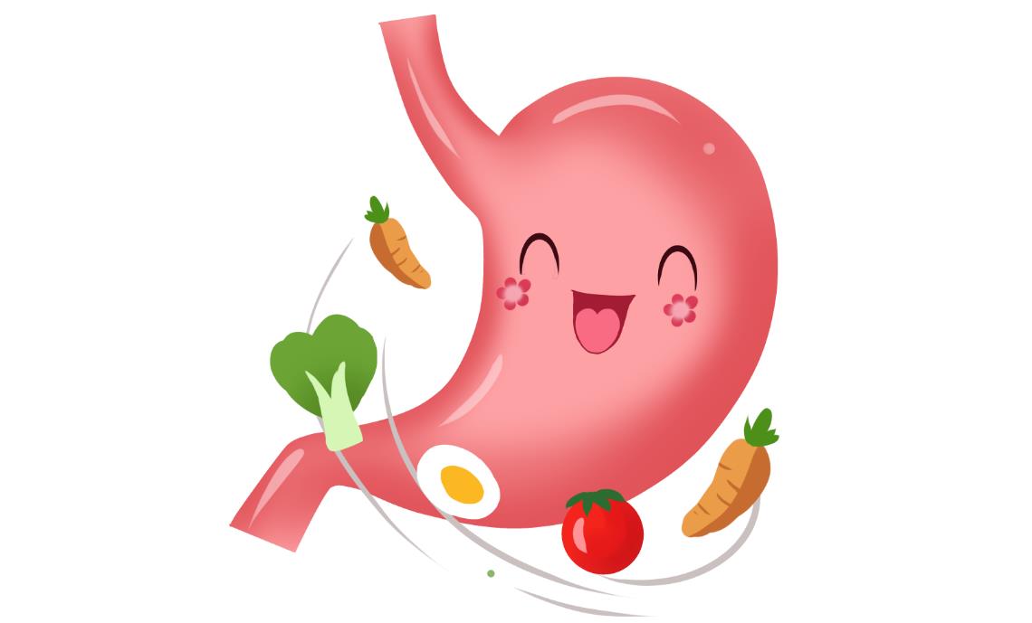 改善消化 改善消化