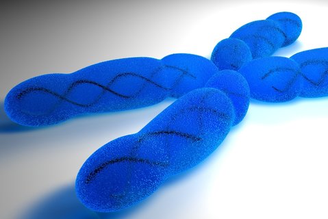 夫妻染色體有問題可以做試管嬰兒嗎？