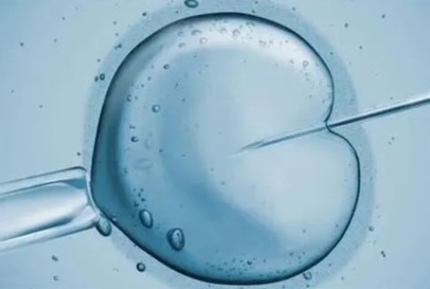 試管嬰兒需要在女性肚子里面嗎？試管嬰兒相關(guān)問(wèn)題