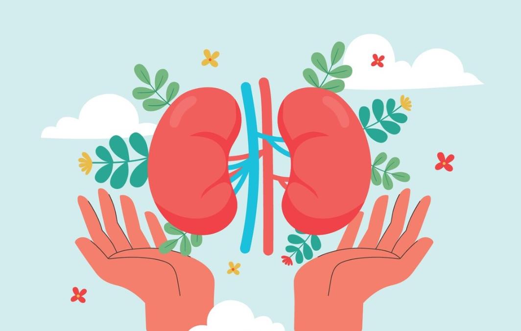 促進(jìn)血液循環(huán) 促進(jìn)血液循環(huán)