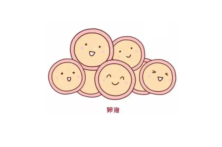 無回聲卵泡可以受孕嗎,無回聲卵泡20x16一般多久排卵