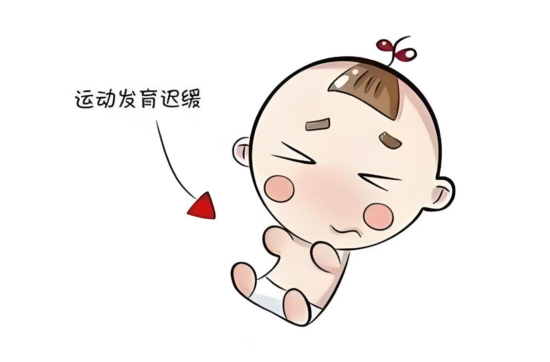 發(fā)育遲緩和智力障礙 發(fā)育遲緩和智力障礙