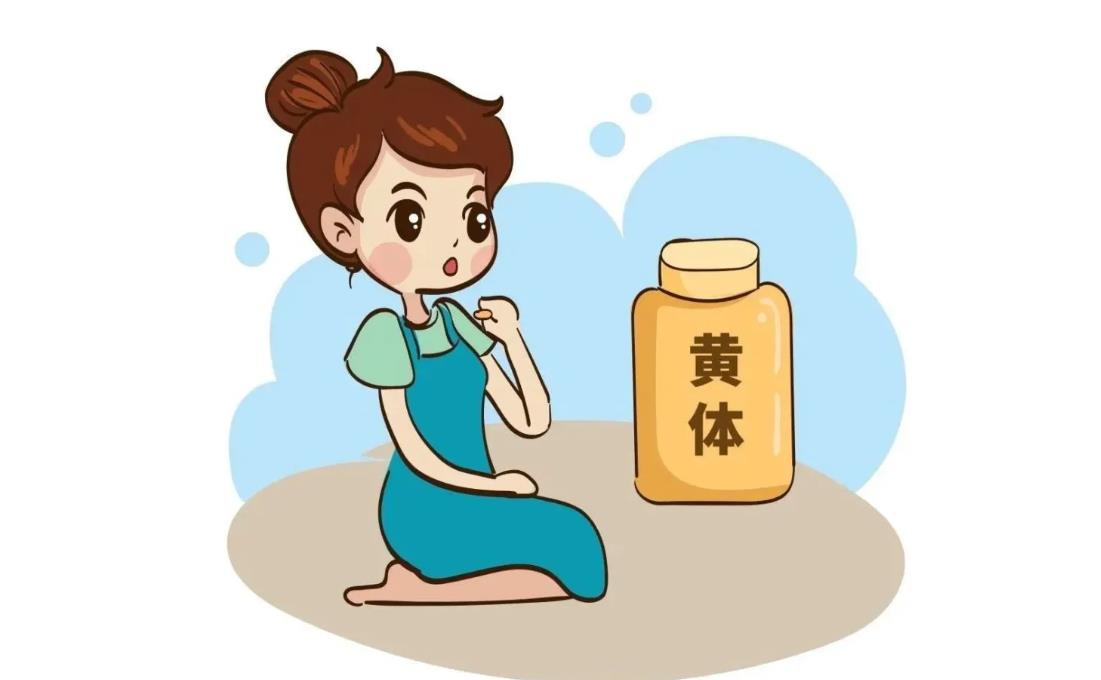 黃體支持 黃體支持