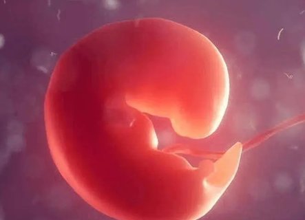 孕囊大小和孕周有關系嗎？孕囊大小與孕周對照表