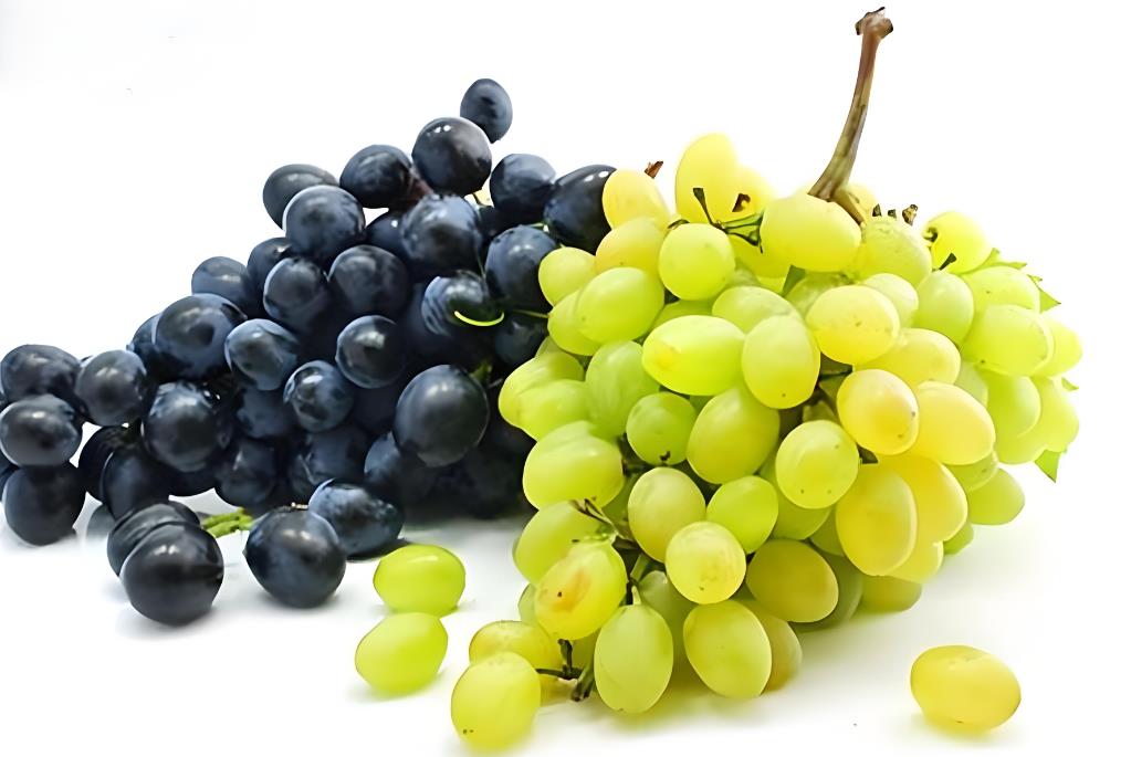 葡萄和提子是一樣的嗎,葡萄和提子的區別