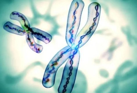 夫妻染色體都異常能生出健康的寶寶嗎？