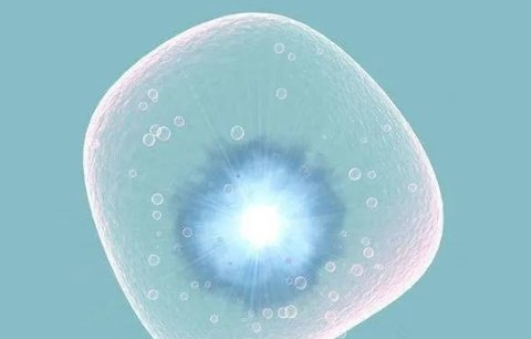 卵泡不成熟可以做試管嗎？卵泡不成熟做試管嬰兒成功率