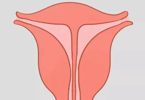 子宮發育大小多少算正常？子宮發育年齡對照表