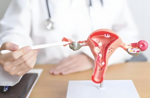 子宮內膜厚怎么辦能治好嗎？子宮內膜厚的治療方法