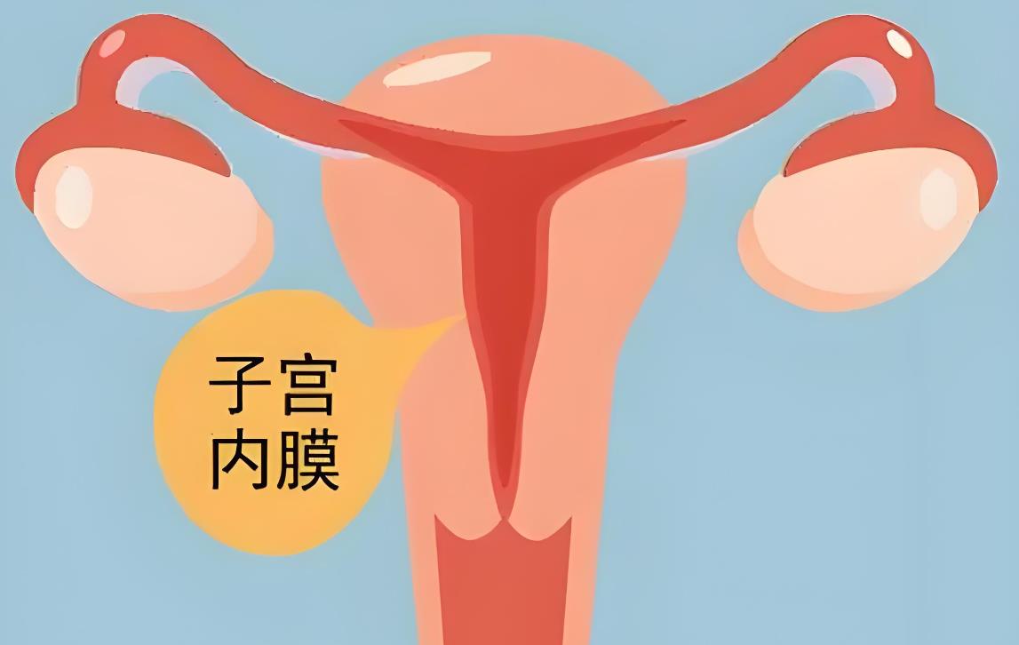 子宮內膜0.5cm厚度說明什么,子宮內膜厚度多少正常