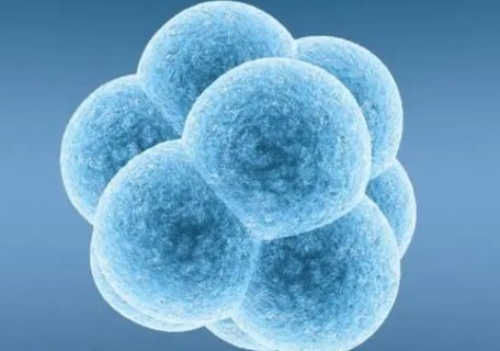 乙肝做試管必須做三代嗎？有乙肝做幾代試管嬰兒？