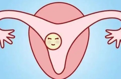 三代試管怎么算懷孕時間？三代試管懷孕時間計算方式