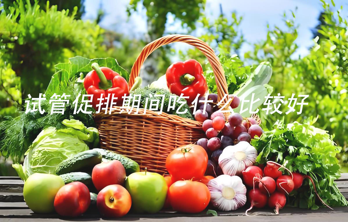 試管促排期，吃什么讓卵泡長得好？