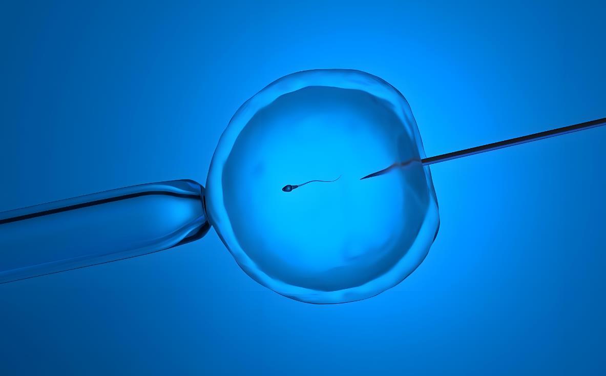 體外授精是試管嬰兒嗎,試管體外授精方法有哪些