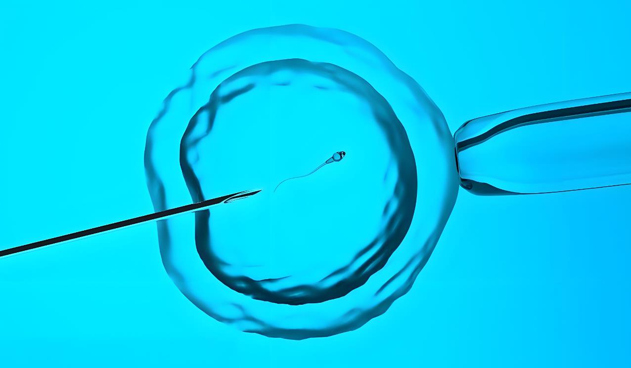 試管嬰兒體外授精培養費是啥,體外授精試管嬰兒費用