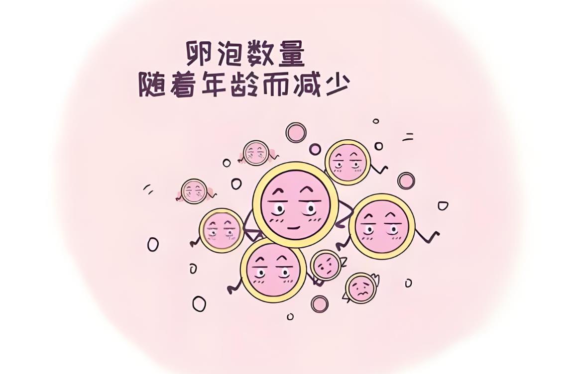 卵泡少做試管嬰兒成功率高嗎？成功率多少