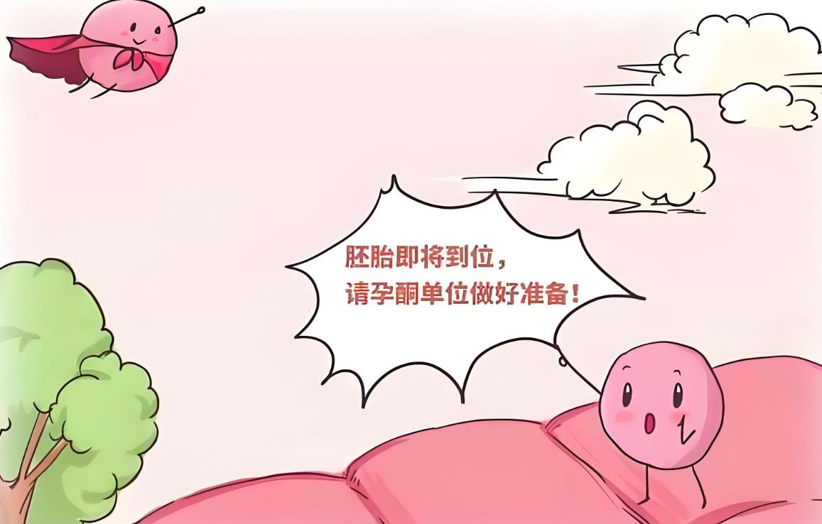 做試管如果沒有著床會來月經嗎