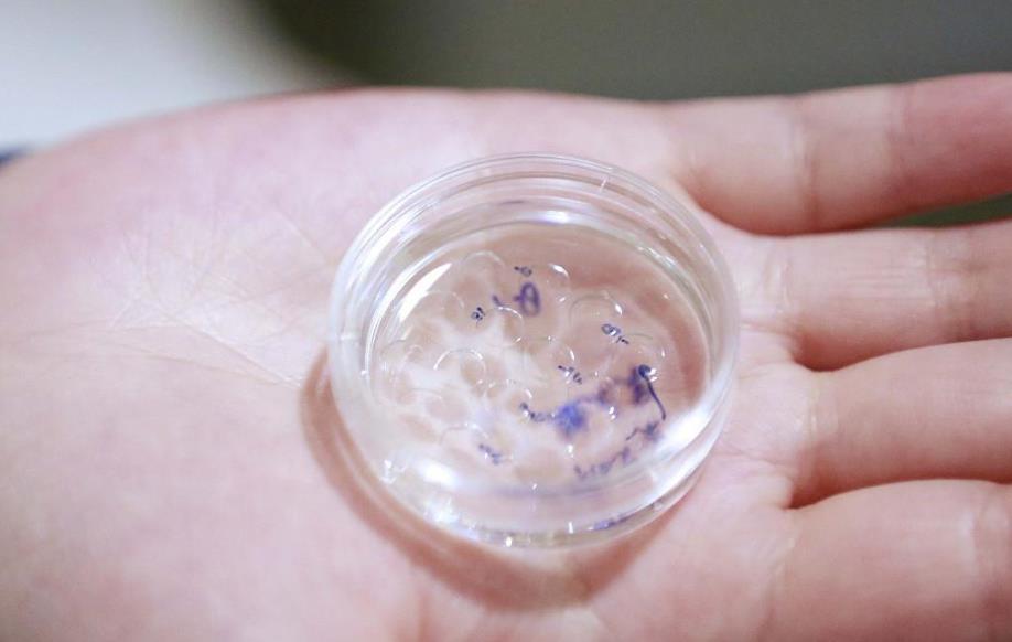 試管胚胎養囊需要幾天,試管養囊胚5天和6天區別