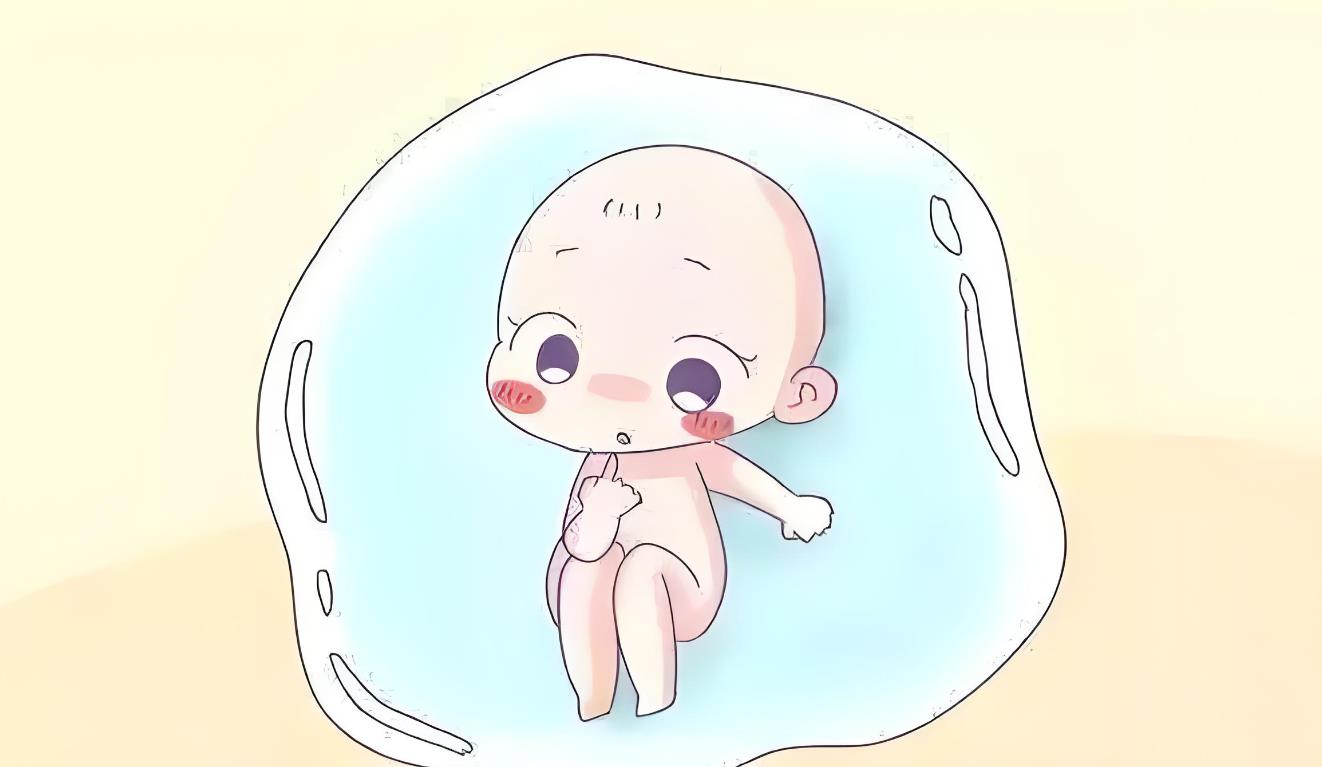 試管兩次養囊全部失敗,試管嬰兒養囊失敗是什么原因