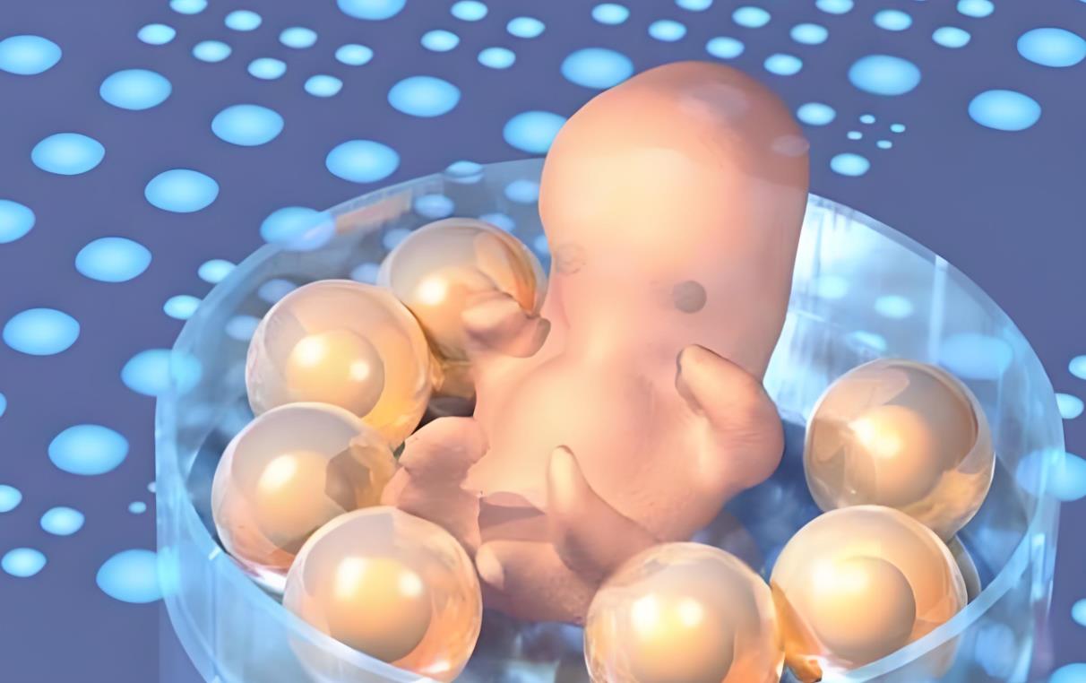 12個胚胎能養多少囊胚,胚胎養囊胚需要幾天