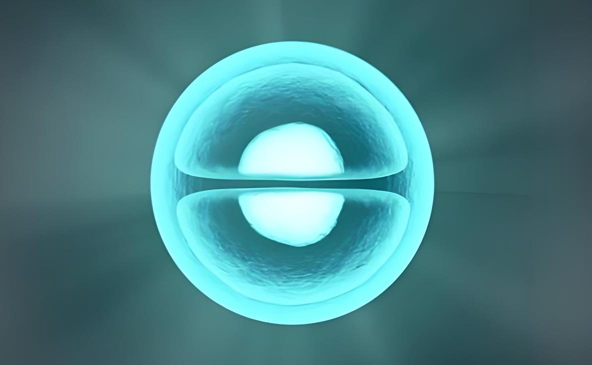 4細胞的胚胎能養成囊胚嗎,取卵7個一般能養幾個囊胚