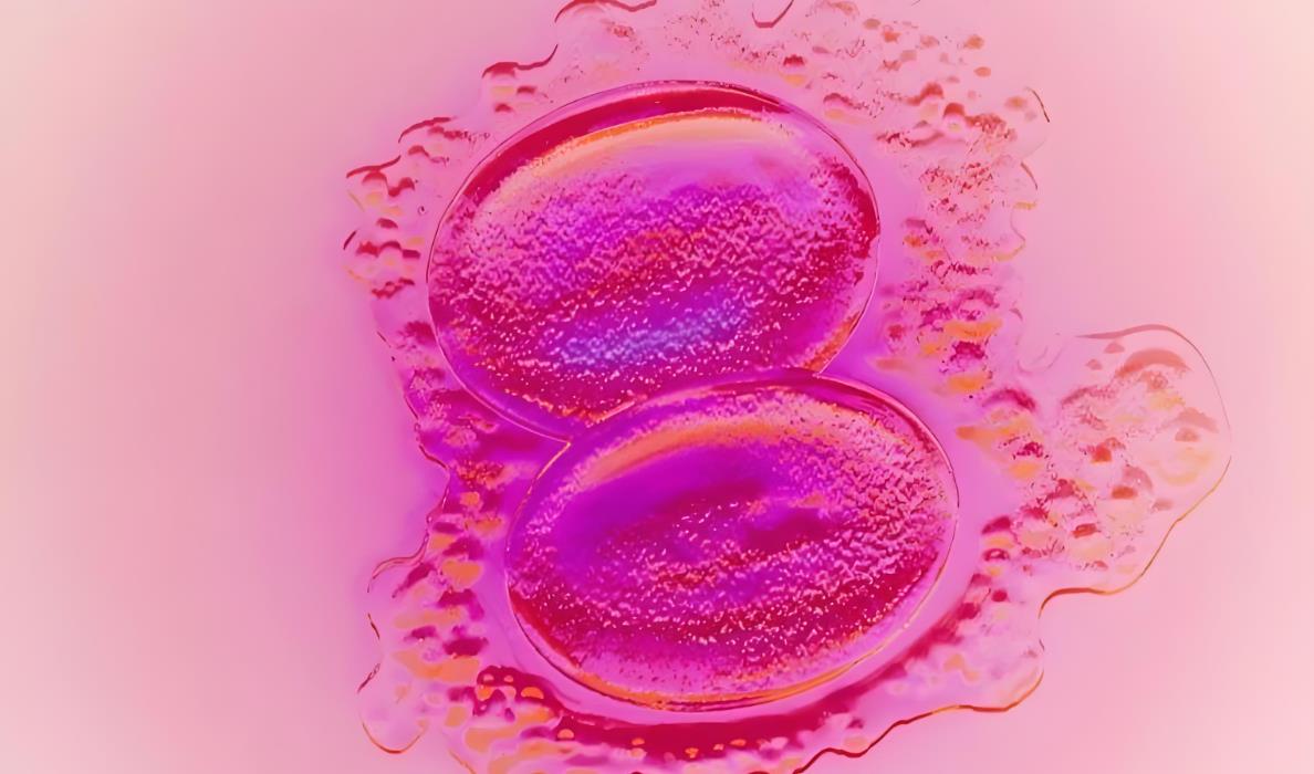 囊胚移植第五天小腹隱痛,為啥囊胚移植會拉肚子