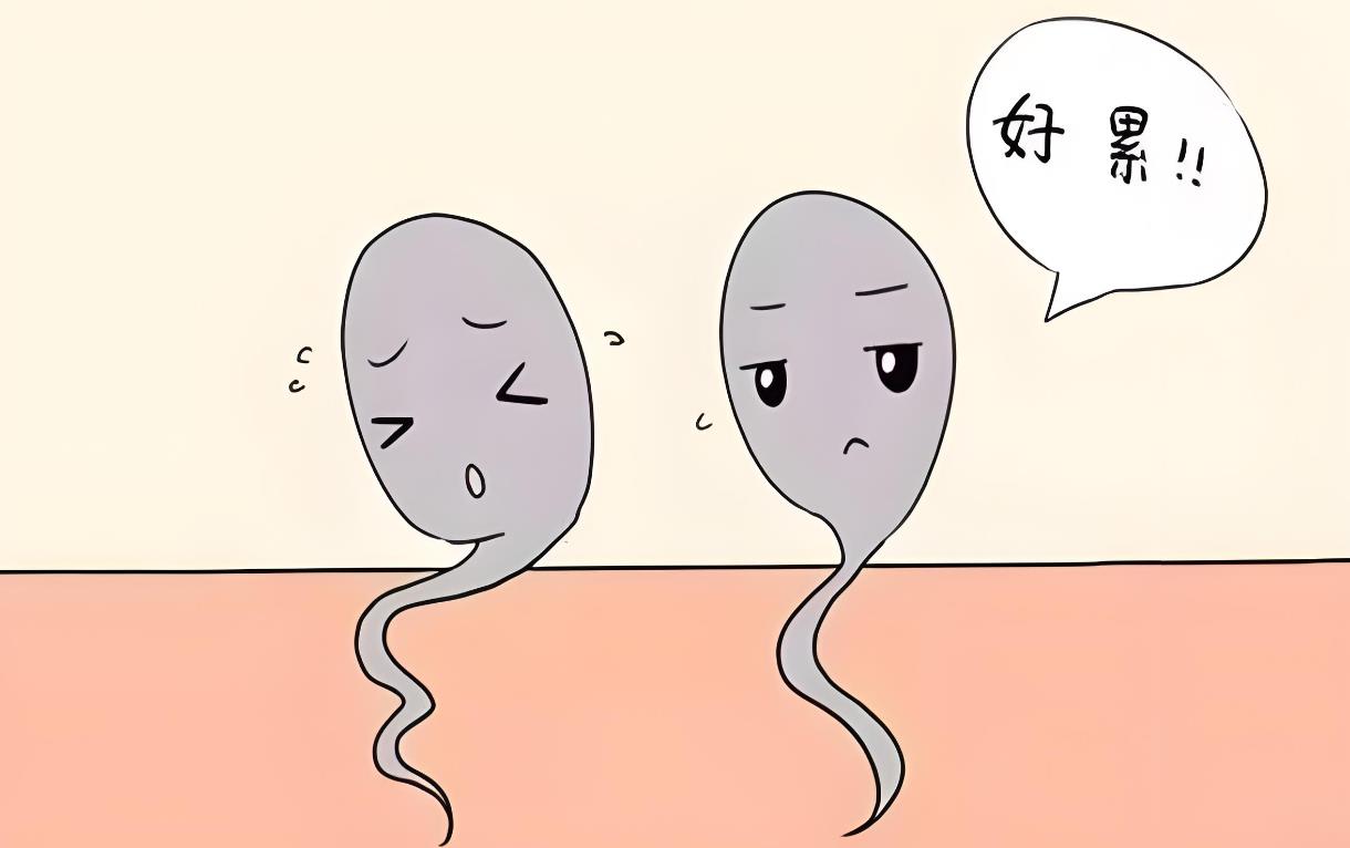 男人精子活力低做試管有影響嗎,精子活力低做試管要先調理嗎