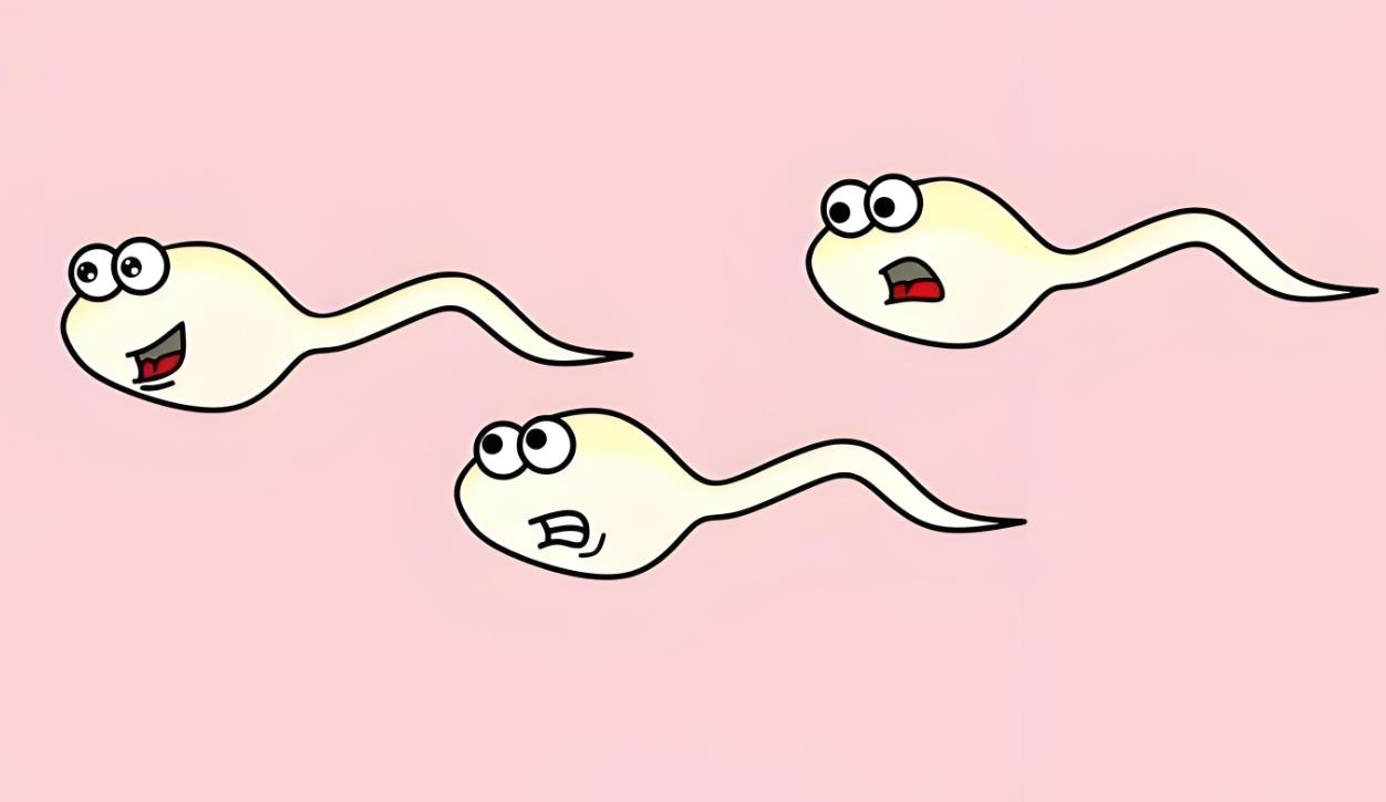 精子活力很低做幾代試管嬰兒,不同精子活力試管技術推薦