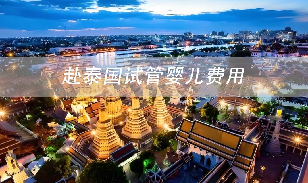 赴泰國(guó)試管嬰兒費(fèi)用,赴泰國(guó)試管嬰兒價(jià)格