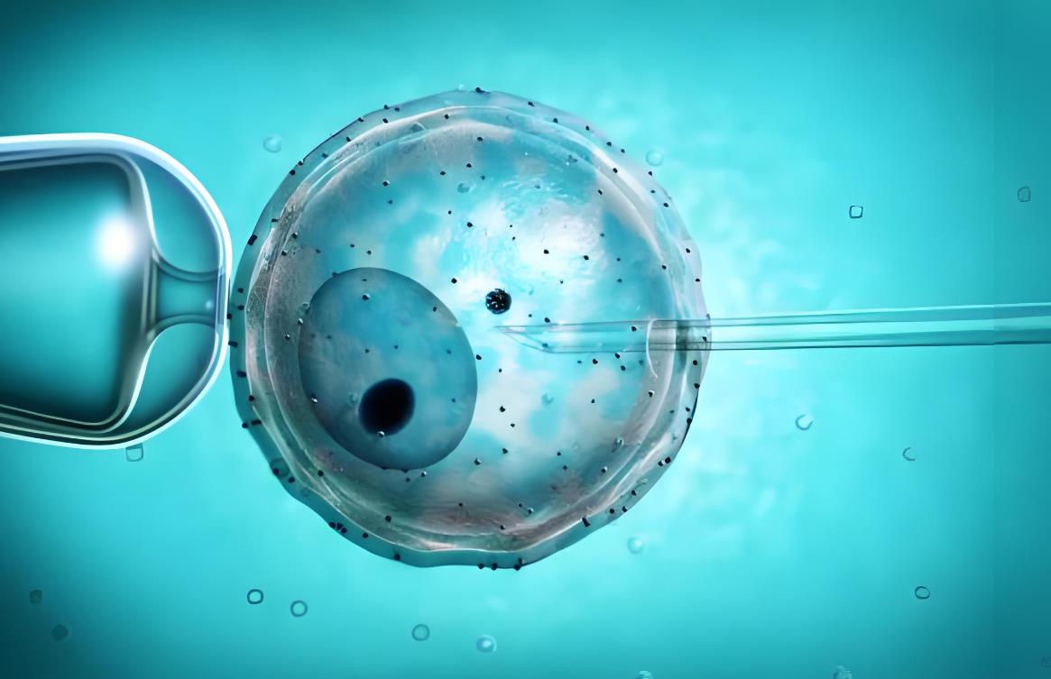 泰國試管取卵15個全失敗的原因,怎么辦