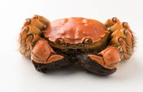 孕早期吃啥容易流產？孕初期容易導致流產的食物