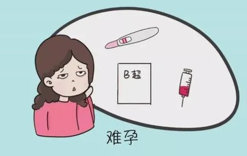 久備不孕怎么提高懷孕幾率？專家策略與生活方式調整