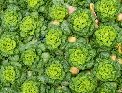 備孕期間男人吃什么補精？男性備孕營養(yǎng)攻略