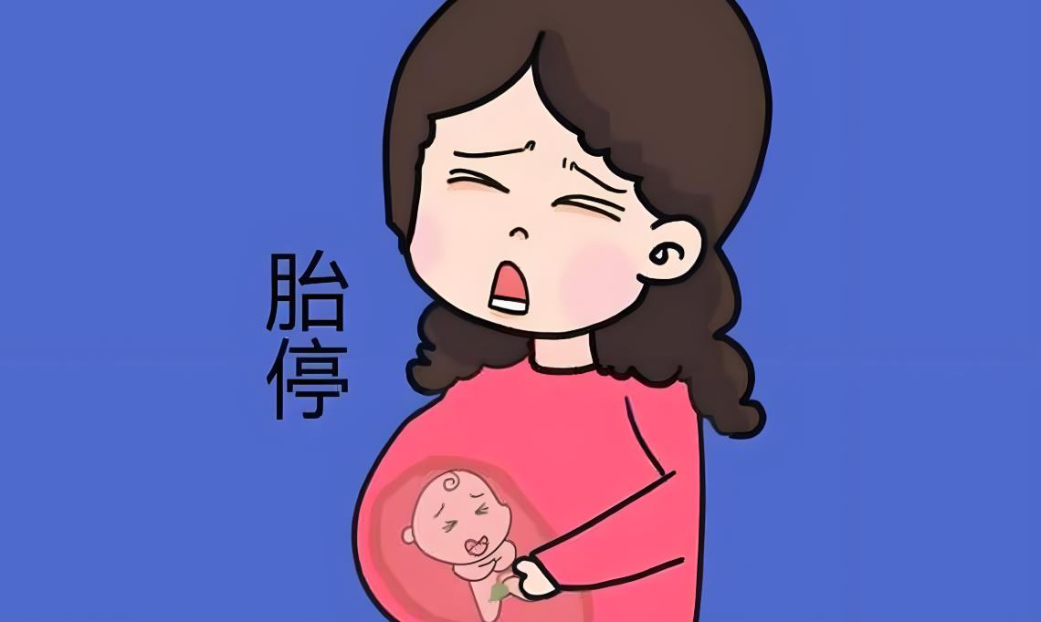 試管五個月還會胎停嗎,試管胎停的原因