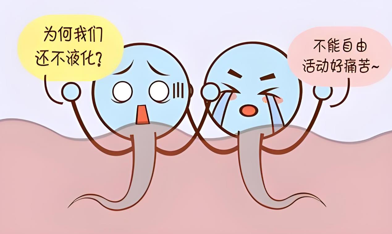 精子不液化中醫能治愈嗎