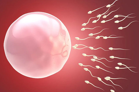 中山大學孫逸仙紀念醫院試管嬰兒：費用、技術代數與專業優勢深度解析