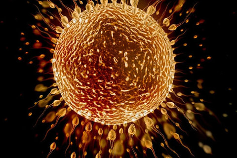 中山大學附屬第一醫院試管嬰兒：費用概覽與技術優勢