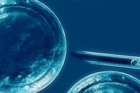 深圳市人民醫院試管嬰兒：成功率與費用全面解讀