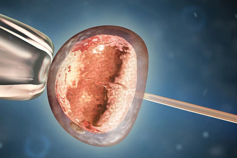 深圳市羅湖區(qū)人民醫(yī)院做試管要多少錢？費用解析