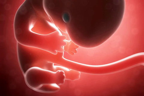 汕頭市中心醫院試管嬰兒：成功率與費用全面解析