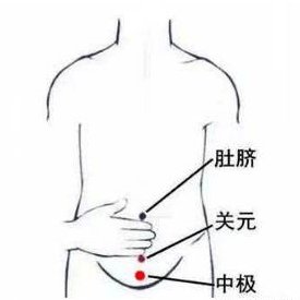 中極穴 中極穴