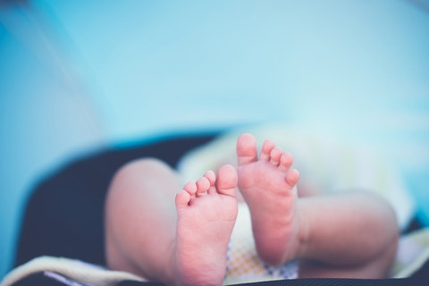 試管寶寶 試管寶寶