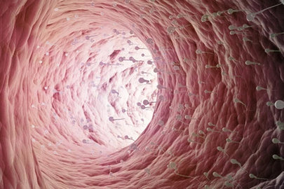 泰國第三代試管嬰兒費(fèi)用多少？2025年價(jià)格概覽