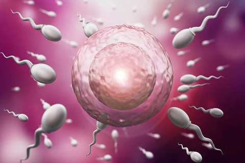 泰國試管嬰兒醫(yī)院哪家好？泰國試管嬰兒醫(yī)院全景解析