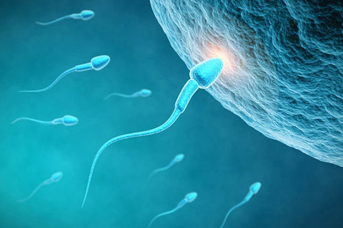 泰國試管嬰兒費(fèi)用明細(xì)表：2025年價(jià)格全解析